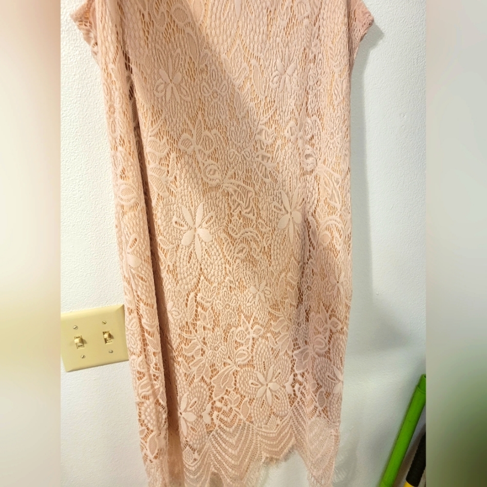 Anne French lace overlay dress